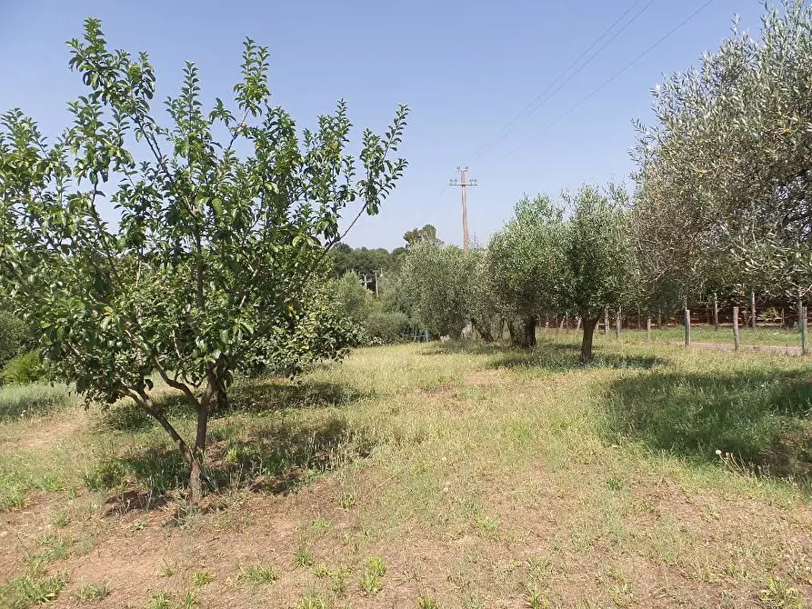 Immagine 1 di Terreno edificabile in vendita  in località Barco a Caprarola