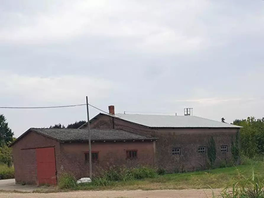 Immagine 1 di Terreno edificabile in vendita  a Angiari