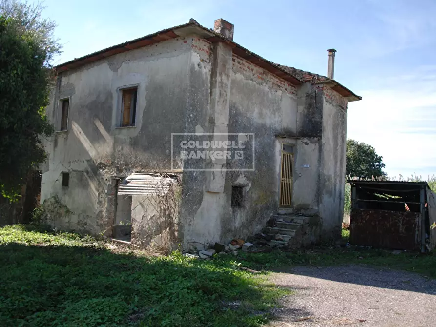 Immagine 1 di Abitazione tipica in vendita  in Via Pantano a Alfano
