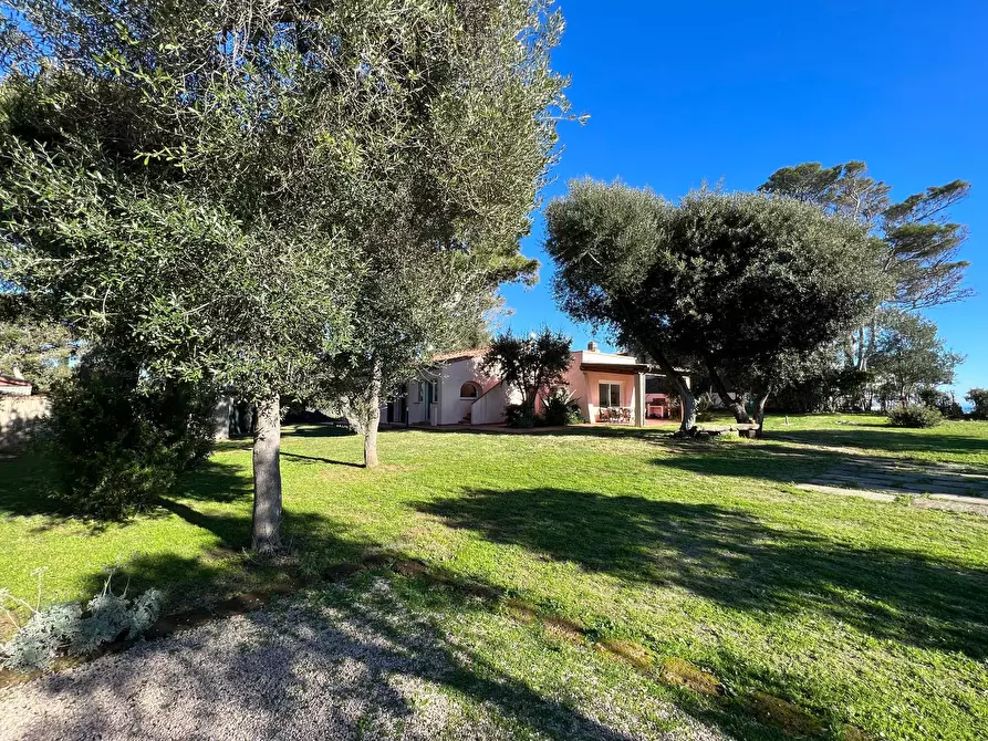Immagine 1 di Villa in vendita  in Via di Torre San Biagio a Orbetello