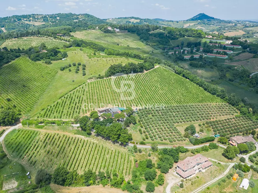 Immagine 1 di Azienda agricola in vendita  in Via Colombarda a Cesena