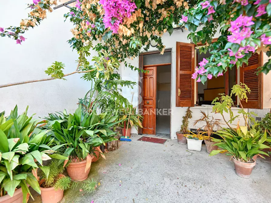 Immagine 1 di Casa indipendente in vendita  in Via G.B. Riccio a Torchiara
