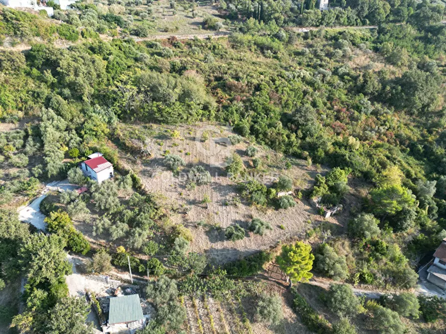 Immagine 1 di Terreno edificabile in vendita  in Contrada Santa Caterina a Ogliastro Cilento