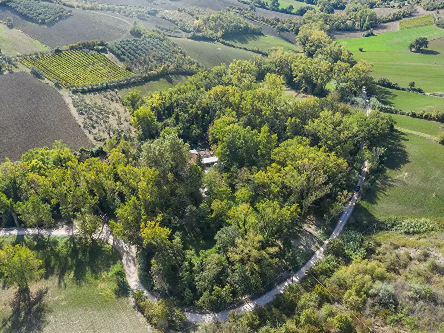 Immagine 1 di Attività commerciale in vendita  in Via Ventena a Montefiore Conca