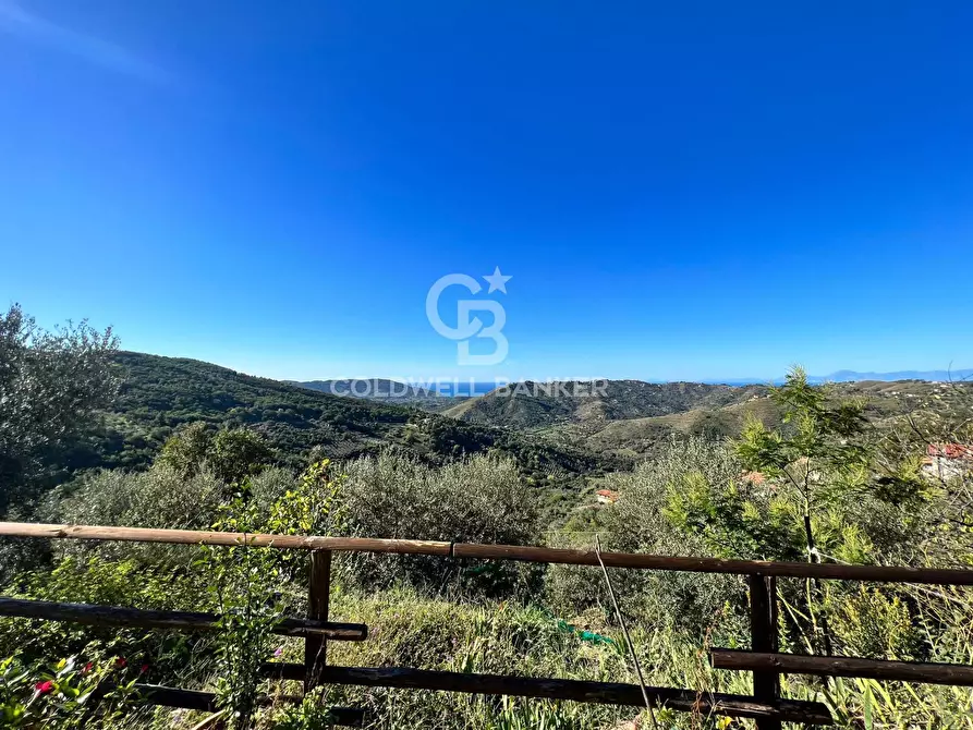 Immagine 1 di Villa in vendita  in Contrada Palma a Perdifumo