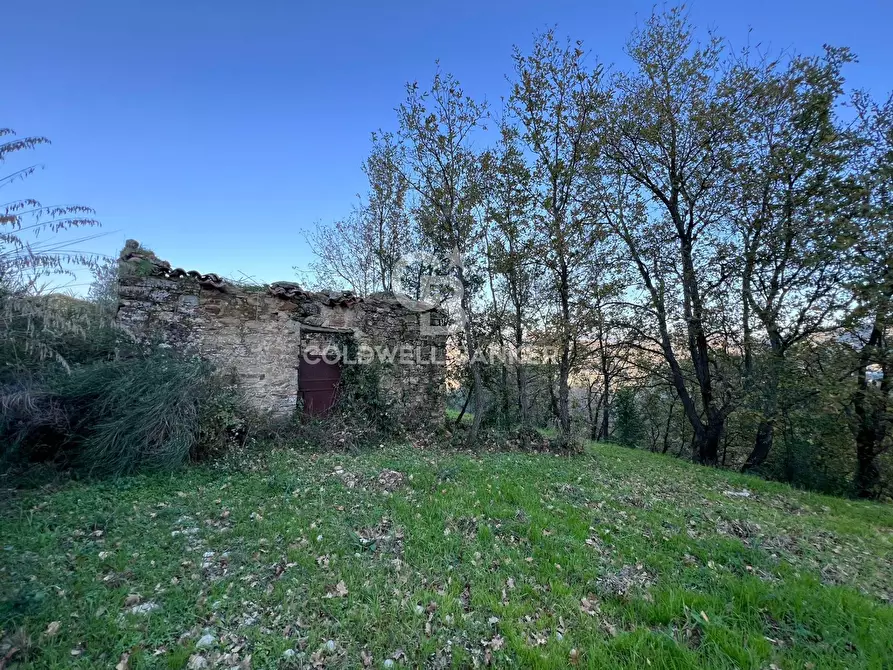 Immagine 1 di Terreno edificabile in vendita  in S.S. Tirrena Inferiore a Ogliastro Cilento