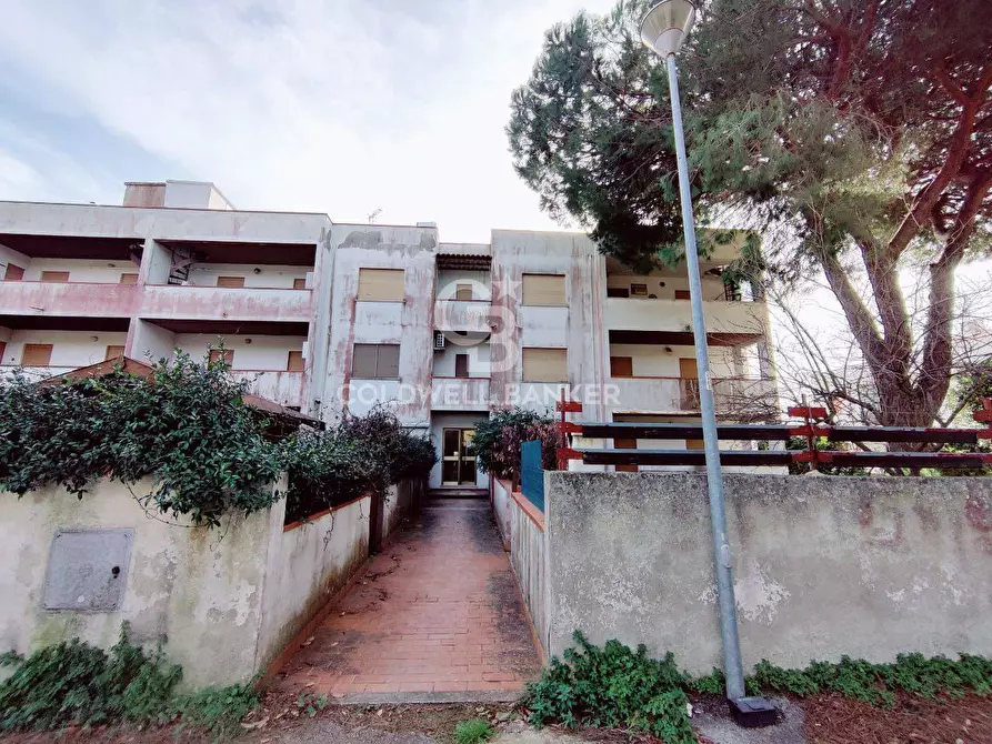 Immagine 1 di Appartamento in vendita  in Largo del Palombaro a Montalto Di Castro