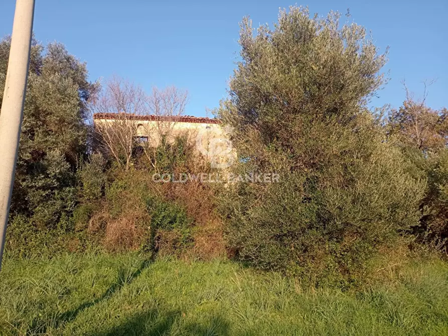 Immagine 1 di Rustico / casale in vendita  in Pazzano a Capaccio Paestum