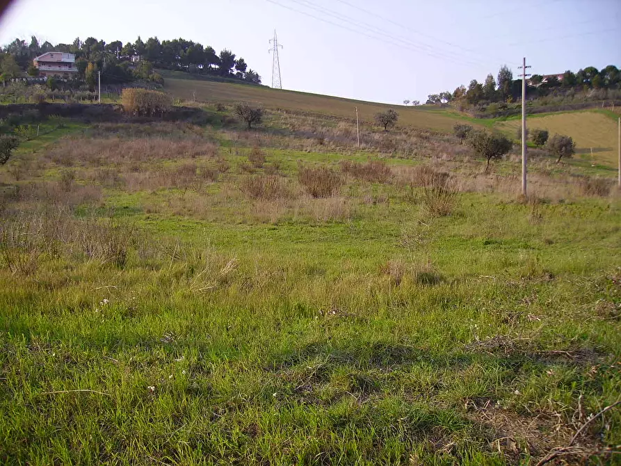 Immagine 1 di Terreno edificabile in vendita  in Contrada Montecretaccio a Monteprandone
