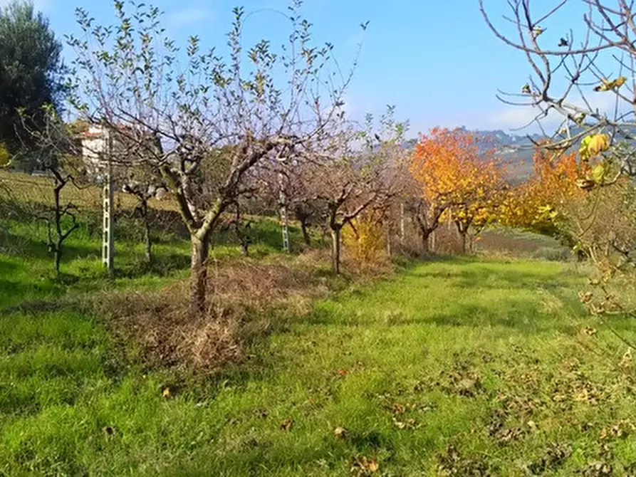 Immagine 1 di Terreno edificabile in vendita  in contrada bora ragnola a Monteprandone