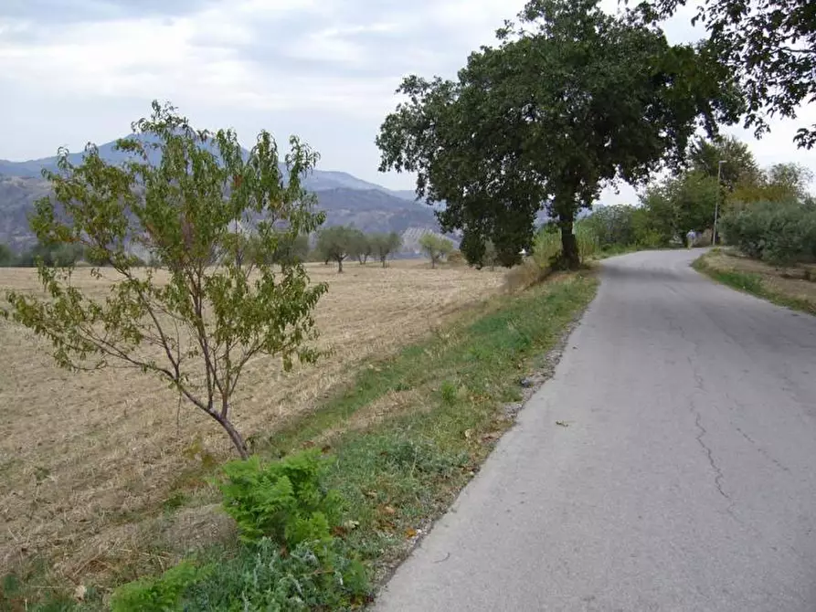 Immagine 1 di Terreno edificabile in vendita  in Rosara a Ascoli Piceno