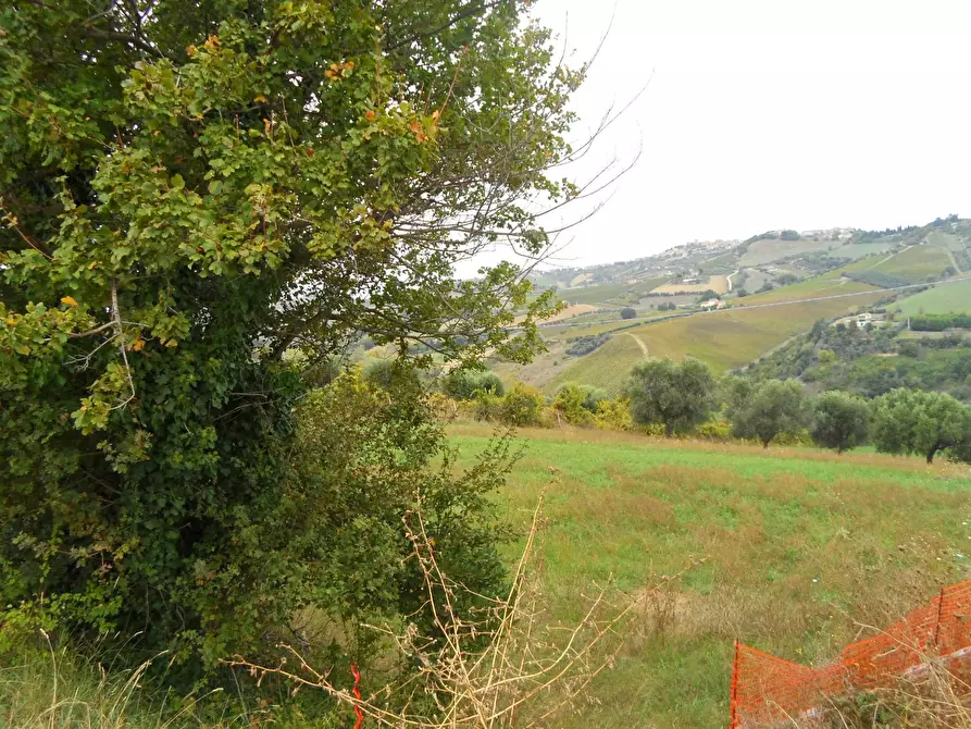 Immagine 1 di Terreno edificabile in vendita  in Via Colle Appeso a Monteprandone