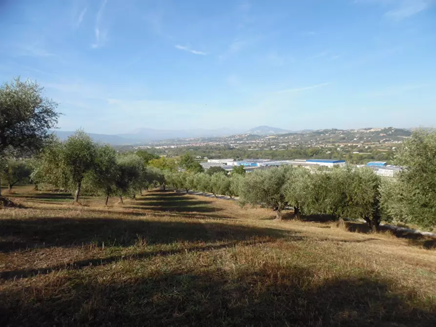 Immagine 1 di Terreno edificabile in vendita  in Contrada Coste Tronto a Ancarano