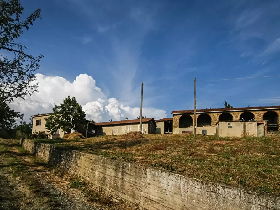 Immagine 1 di Rustico / casale in vendita  a Spigno Monferrato