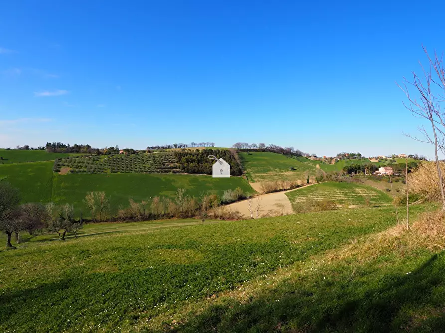 Immagine 1 di Terreno edificabile in vendita  in zona macina a Mogliano