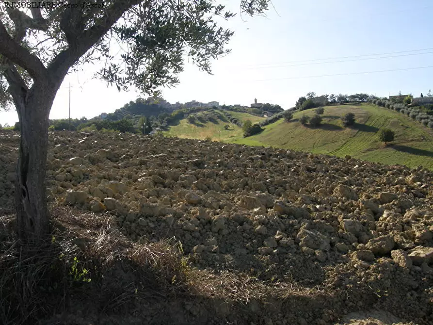 Immagine 1 di Terreno edificabile in vendita  a Monsampolo Del Tronto