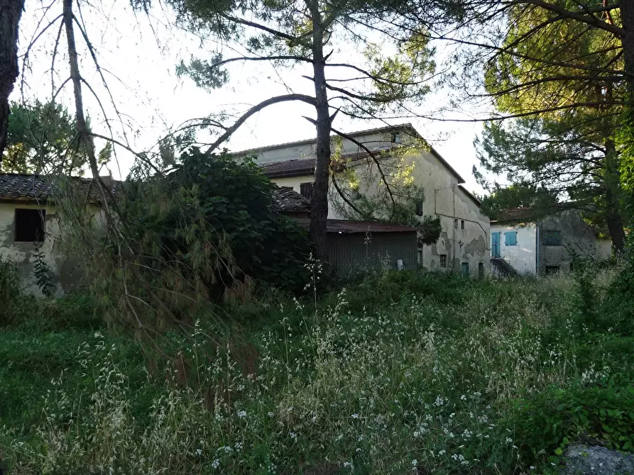 Immagine 1 di Azienda agricola in vendita  in Via Romita a Montespertoli