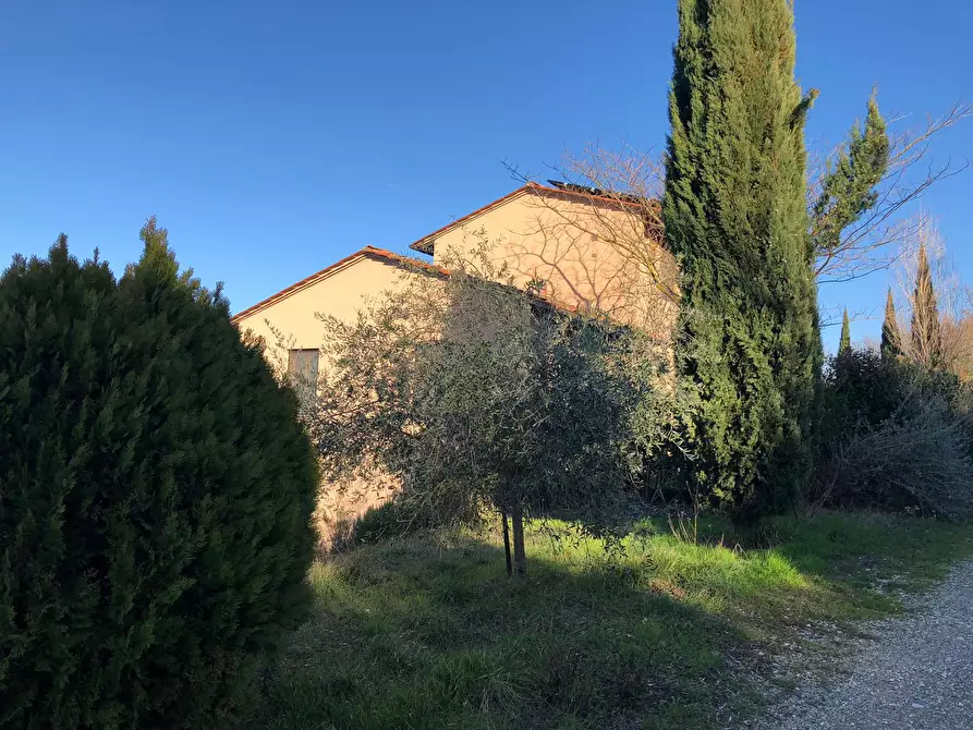 Immagine 1 di Azienda agricola in vendita  in Via Castiglioni a Montespertoli