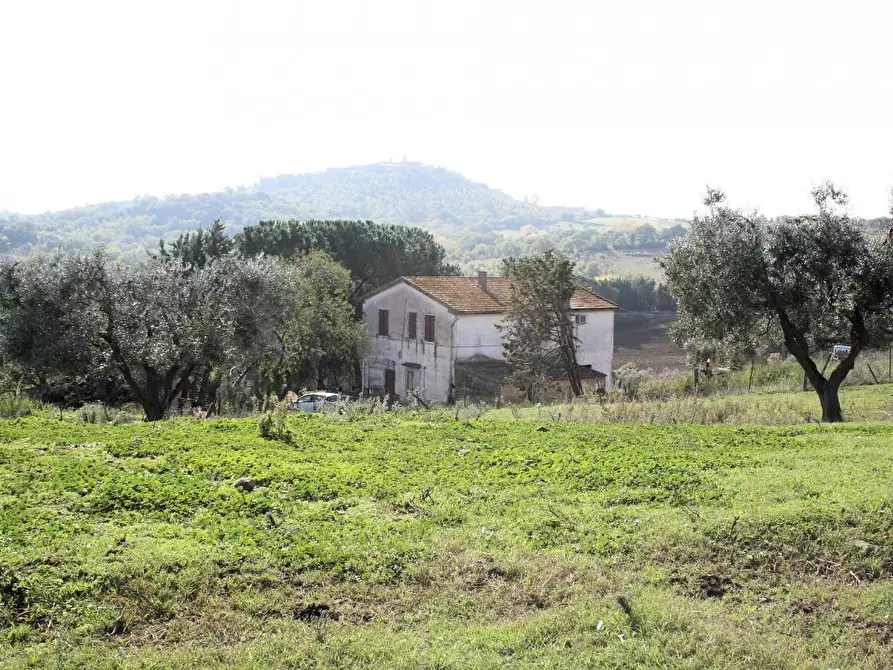 Immagine 1 di Rustico / casale in vendita  in apparita a Magliano In Toscana