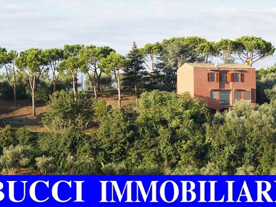 Immagine 1 di Villa in vendita  in via vallelunga a Paglieta