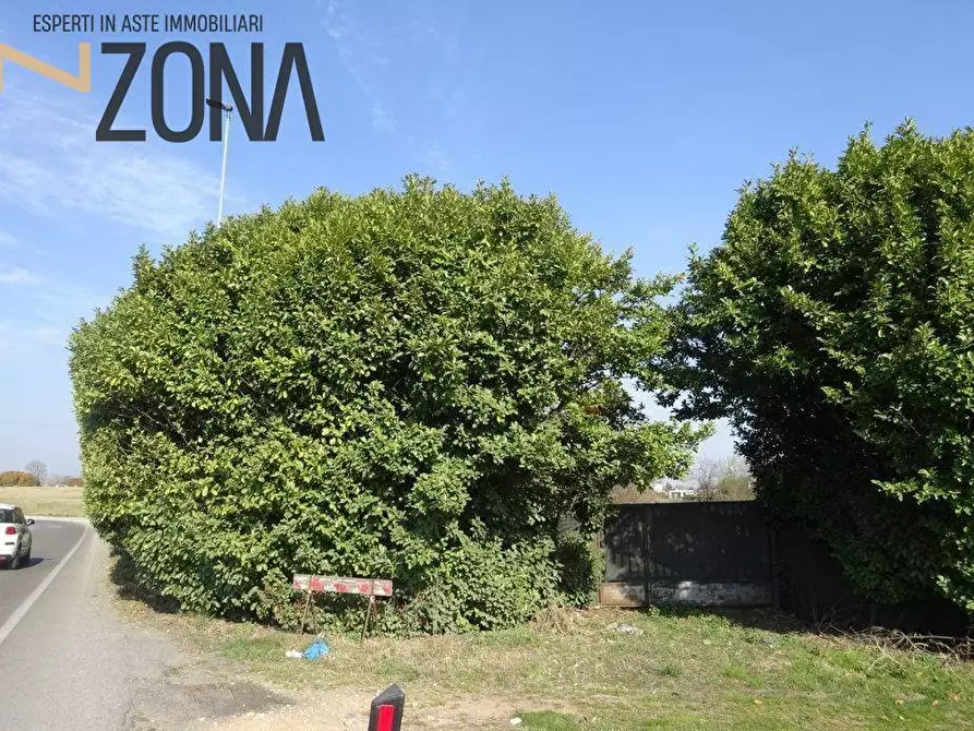 Immagine 1 di Terreno edificabile in vendita  in Viale Brianza a Pantigliate