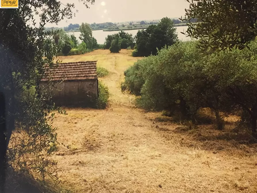 Immagine 1 di Terreno edificabile in vendita  in Via Appia a Latina