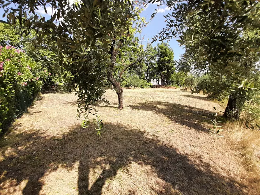 Immagine 1 di Terreno edificabile in vendita  a Acquafredda