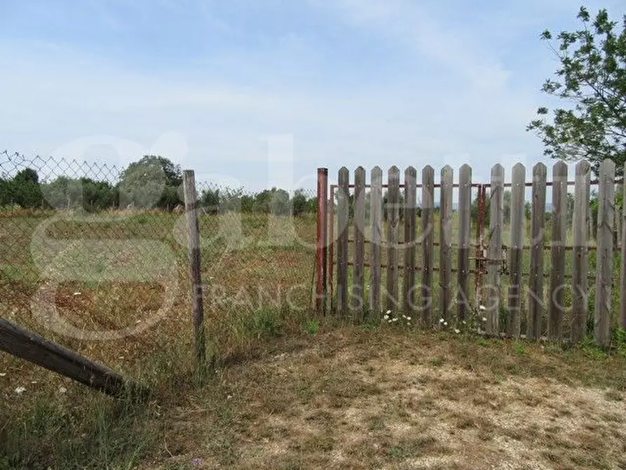 Immagine 1 di Azienda agricola in vendita  in Via massetana a Follonica