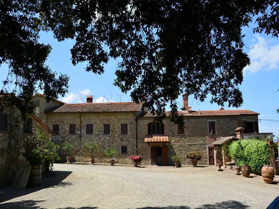 Immagine 1 di Azienda agricola in vendita  in Via San Martino a Civitella In Val Di Chiana