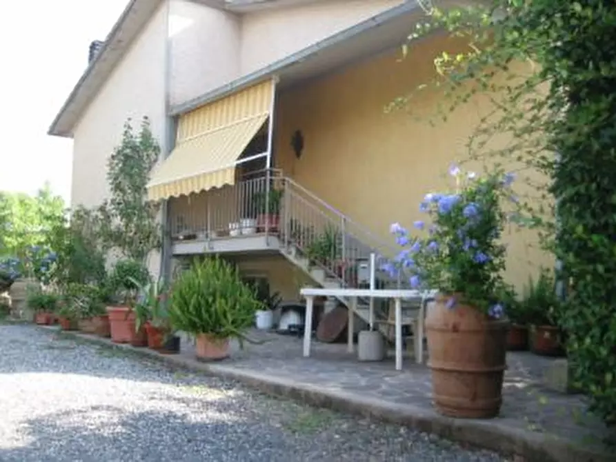 Immagine 1 di Azienda agricola in vendita  a Gavorrano