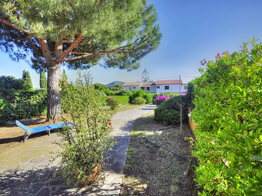 Immagine 1 di Villa in vendita  in Lacona a Capoliveri