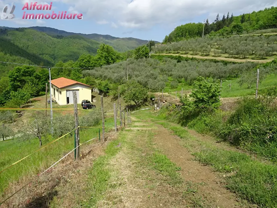 Immagine 1 di Terreno edificabile in vendita  a Pratovecchio Stia