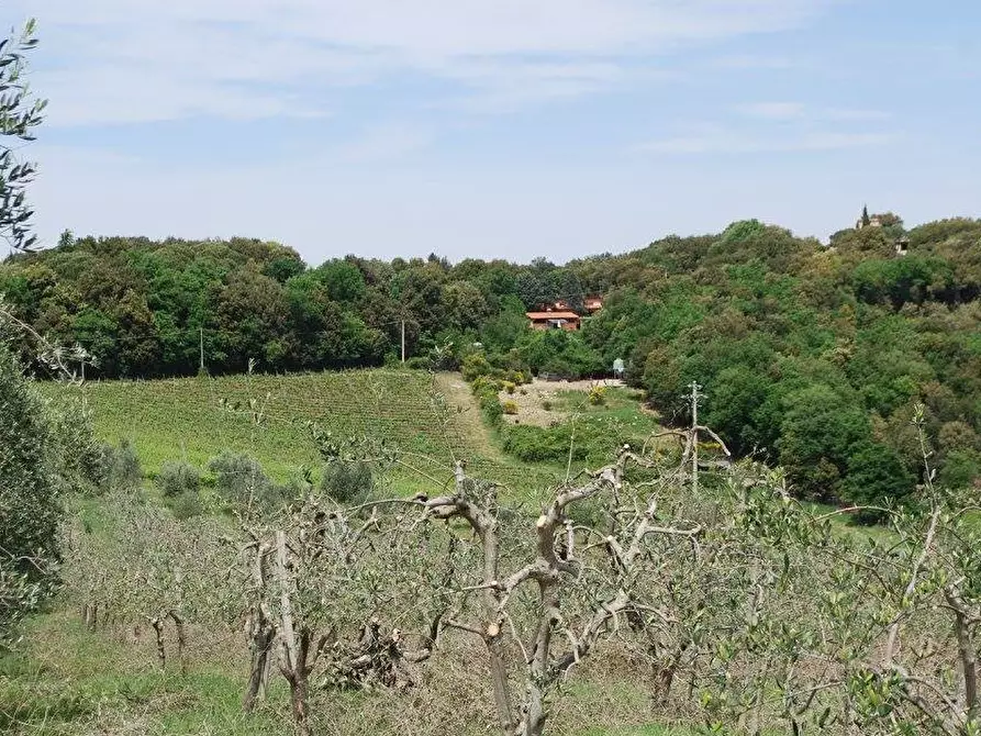 Immagine 1 di Azienda agricola in vendita  a Capraia E Limite