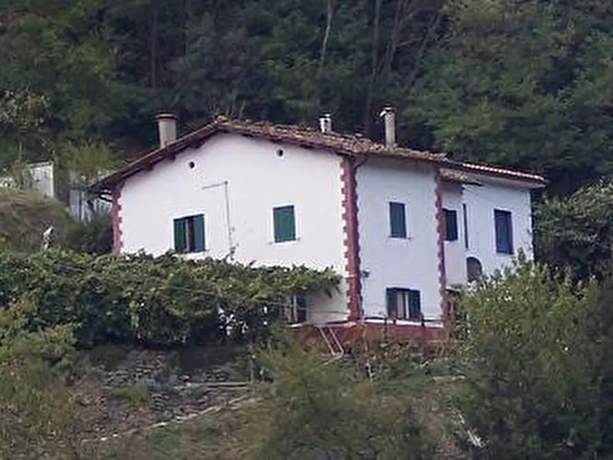 Immagine 1 di Casa indipendente in vendita  a Pescia