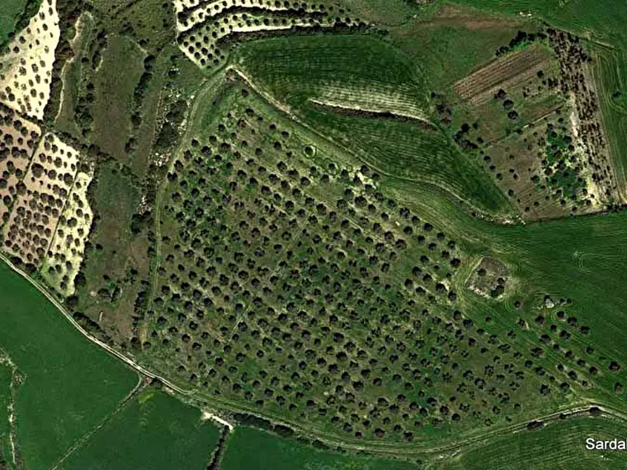 Immagine 1 di Terreno edificabile in vendita  in villanovafranca a Villanovafranca