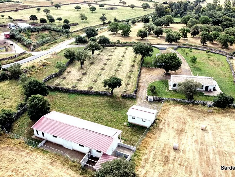 Immagine 1 di Villa in vendita  in località aiga a Abbasanta