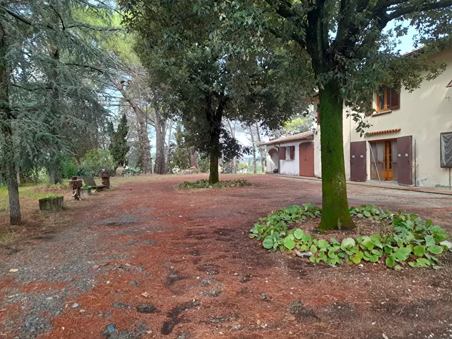 Immagine 1 di Villa in vendita  a Quarrata