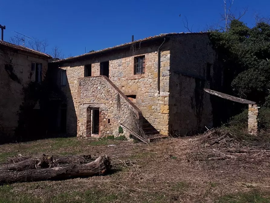 Immagine 1 di Azienda agricola in vendita  in San Gimignano a Radicondoli
