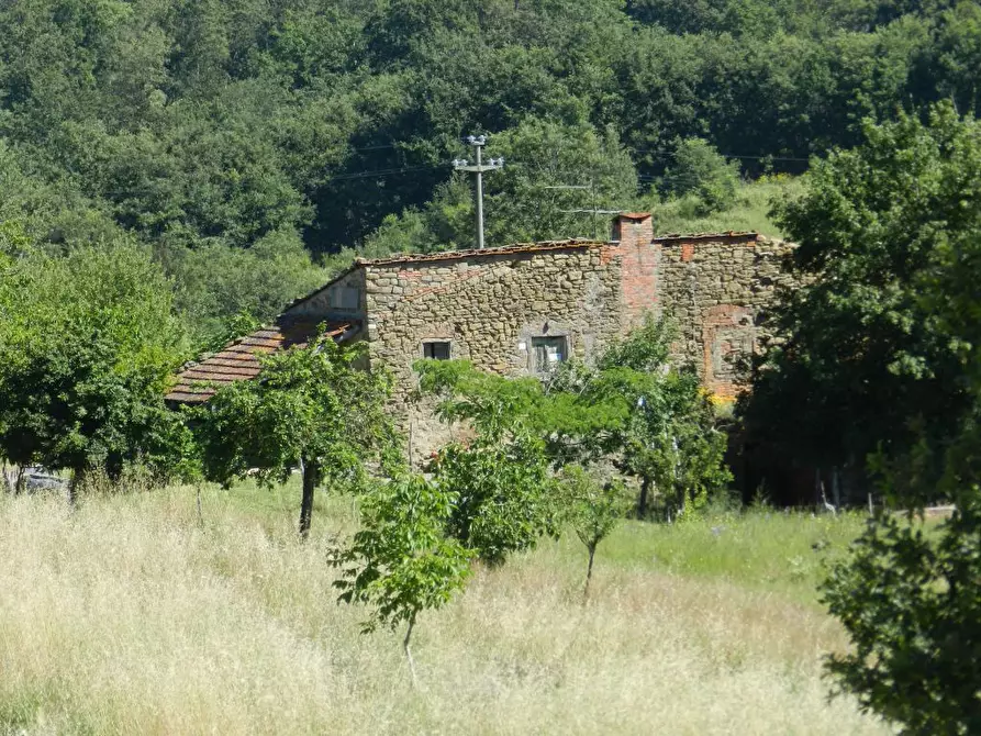 Immagine 1 di Azienda agricola in vendita  a Civitella In Val Di Chiana