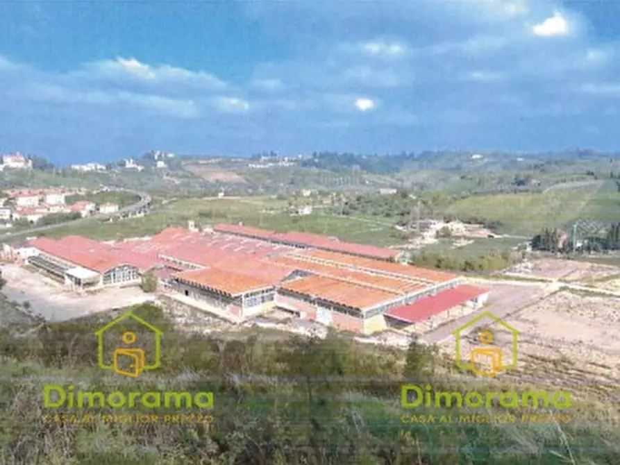 Immagine 1 di Terreno edificabile in vendita  in Zona Castelfiorentino snc a Castelfiorentino