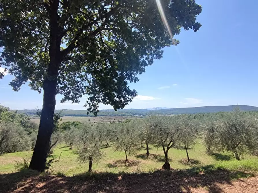 Immagine 1 di Terreno edificabile in vendita  in La Chiocciola a Monteriggioni