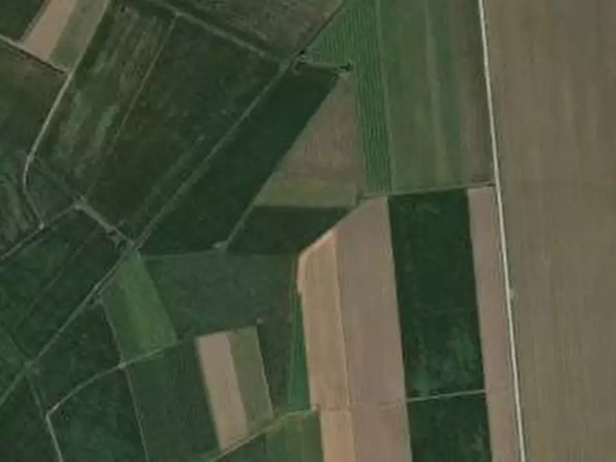 Immagine 1 di Azienda agricola in vendita  a Rivignano Teor