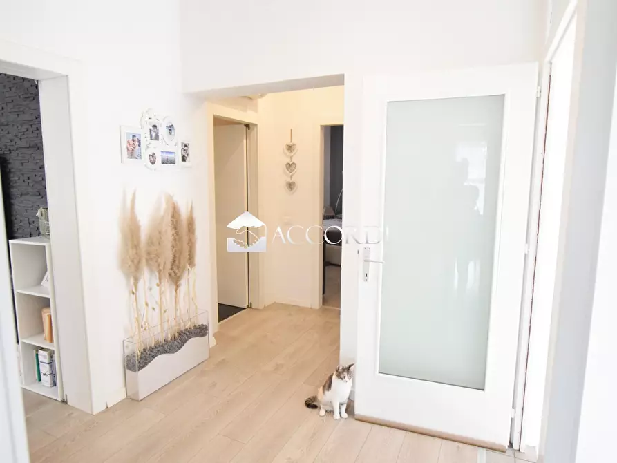 Immagine 1 di Appartamento in vendita  a Istrana