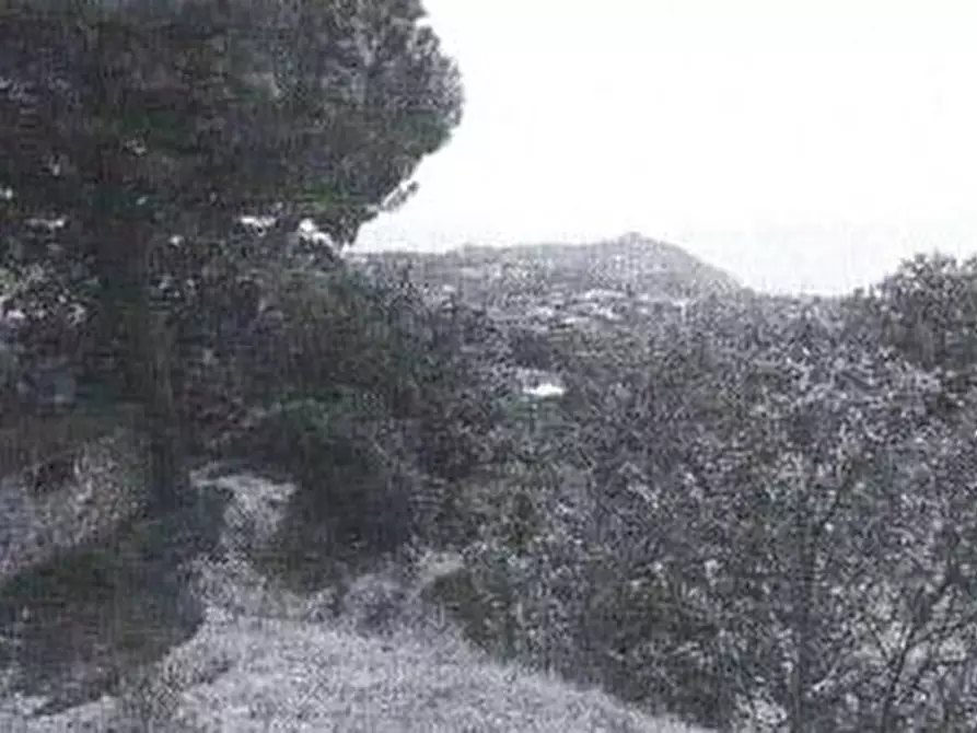 Immagine 1 di Terreno edificabile in vendita  in SERRARA FONTANA (CONTRADA CURTODORMI BIFORCAZIONE SP 488) a Napoli