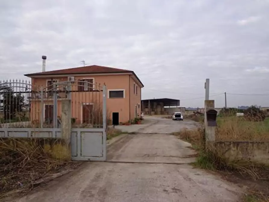 Immagine 1 di Azienda agricola in vendita  in VIA TRONARA a Cancello Ed Arnone