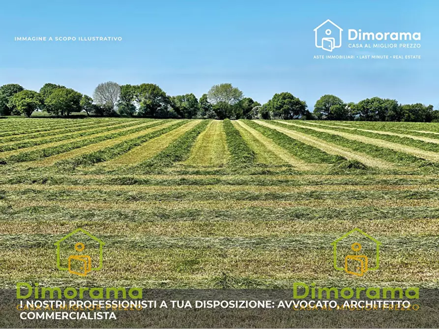 Immagine 1 di Terreno edificabile in vendita  in Viale Abruzzo a Montesilvano