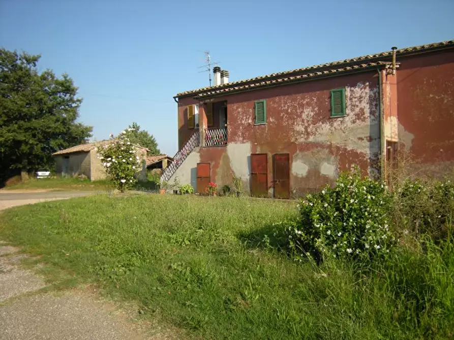 Immagine 1 di Azienda agricola in vendita  a Sorano