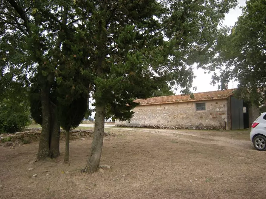 Immagine 1 di Azienda agricola in vendita  a Manciano