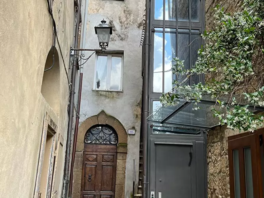 Immagine 1 di Appartamento in vendita  a Pitigliano