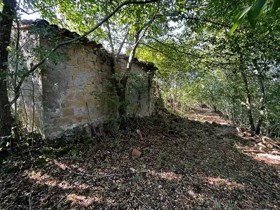 Immagine 1 di Terreno edificabile in vendita  a Sorano